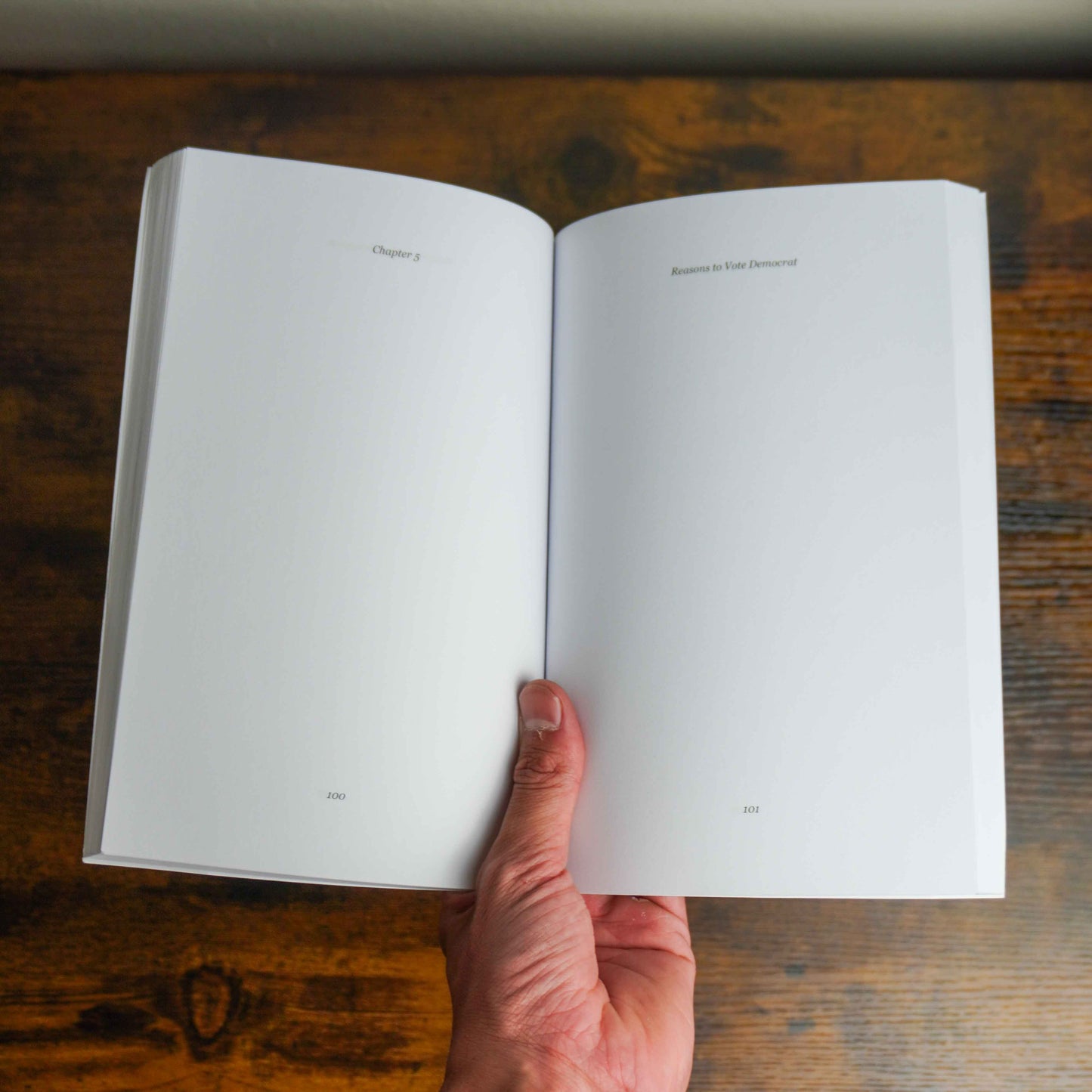 Reasons To Vote Democrat Book: A Comprehensive Guide